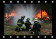 IMG_7169